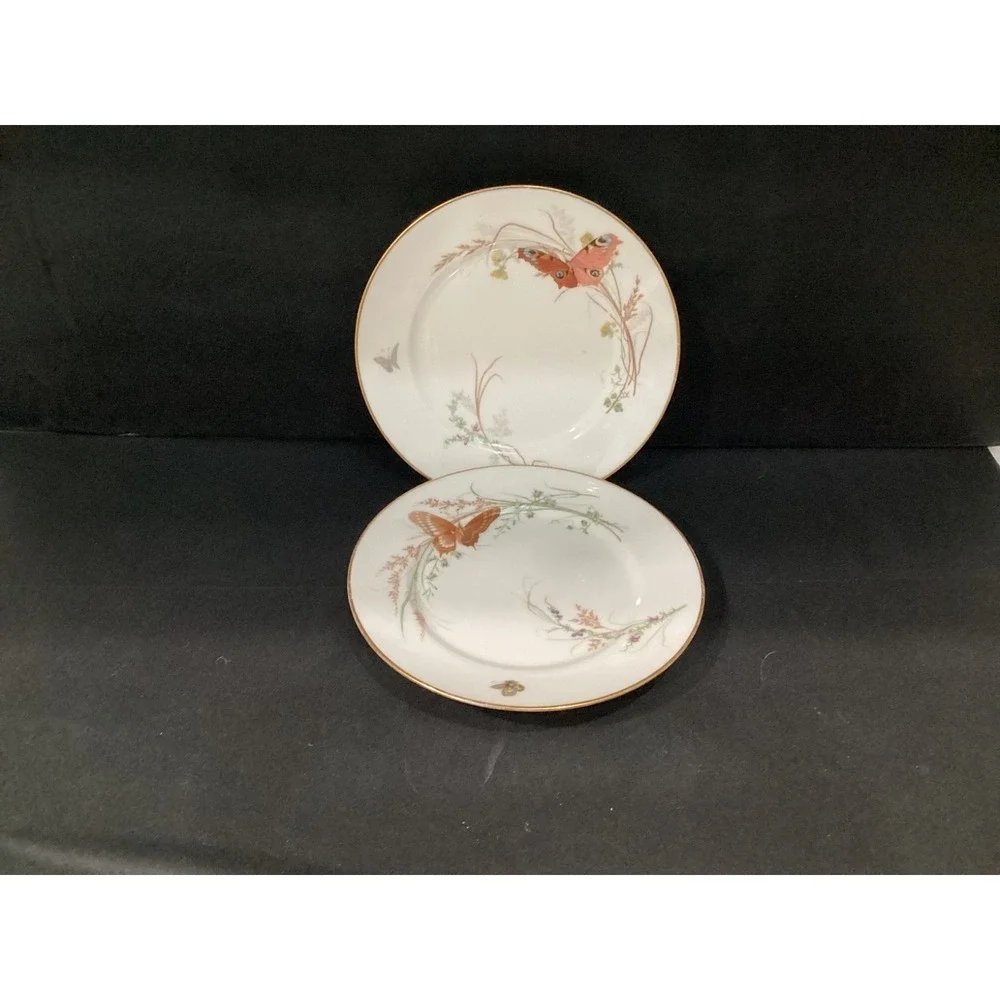 Haviland Meadow Visitors Luncheon Plates Smooth Gold Trim Set Of 2 Butterflies